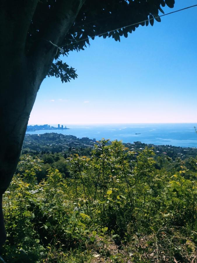 53 Jincharadze Street Makhinjauri, Batumi Villa Eksteriør bilde